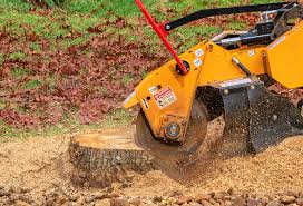 Best Lawn Maintenance Plans  in Rockwood, TN