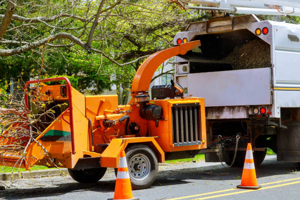 Best Aeration Services  in Rockwood, TN